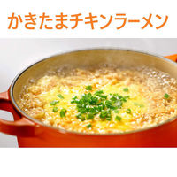日清食品 日清チキンラーメン  10963 1袋5食入（わけあり品）
