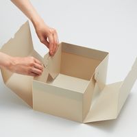 Roomy 折りたたみボックス コミックス 収納ケース 収納ボックス マンガ収納 メイク小物収納 コンパクト フタ付 グレー A796-27 1個