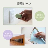 オウルテック PD20Wで超速充電可能 オーロラカラーのAC充電器 OWL-APD20A1C1R-AU 1個