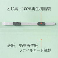 プラス フラットファイルB4E縦罫線タイプBL 98215 1セット(1冊×10)