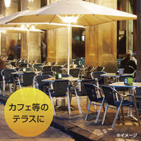 YAMAZEN 屋外でも使えるグラファイトヒーター 防塵・防滴仕様 リモコン式 DCTS-D09(B) 1個