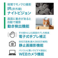 フィールドスリー 2.7K解像度 デジタルビデオカメラ 静止画800万画素 デジタルズーム16倍 F3VC27-01 1台