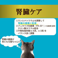 i CARE（アイケア）腎臓ケア かつおペースト 国産 35g 1セット（1袋×6）アイシア キャットフード