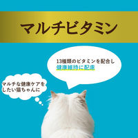 i CARE（アイケア）マルチビタミン まぐろペースト 国産 35g 1セット（1袋×12）アイシア キャットフード