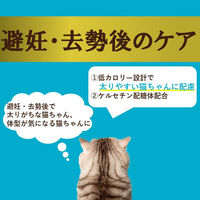 i CARE（アイケア）避妊・去勢後のケア まぐろペースト 国産 35g 1セット（1袋×6）アイシア キャットフード