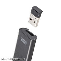 サンワサプライ USB充電式 パワーポインター LP-RF116BK 1個（直送品）