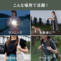 充電式ぴかり MINI LIGHT ダスティピンク 1個 ムサシ 犬用 お散歩