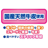 ペティオ NEW 国産 ミルク風味ガム 無添加 デンタルスティック 18本入 1セット（1袋×3）犬用 おやつ