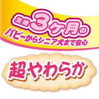 ペティオ 素材そのまま 無添加 さつまいも ひとくちタイプ 生後3ヶ月の超やわらか 240g（40g×6袋）1袋 犬用 おやつ