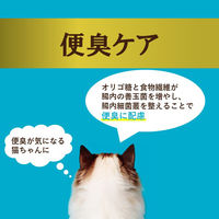 i CARE（アイケア）便臭ケア まぐろペースト 国産 35g 1セット（1袋×24）アイシア キャットフード