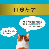 i CARE（アイケア）口臭ケア まぐろペースト 国産 35g 1セット（1袋×24）アイシア キャットフード