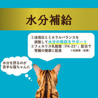 i CARE（アイケア）水分補給 かつおペースト 国産 35g 1セット（1袋×24）アイシア キャットフード