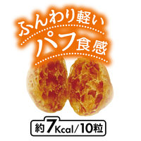 ペティオ プラクト 総合栄養食 無添加 ササミビッツ ササミ 国産 80g 1セット（1袋×3） 犬用 おやつ