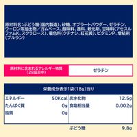 ぶどう糖入りガム 18g 12個 ガム ロッテ