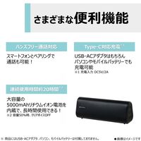 東芝 クリアボイス機能付きワイヤレススピーカー AX-FX10（K） 1台