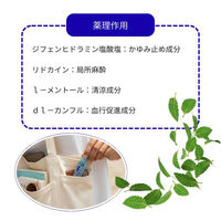 ケスラクール液 20ml 鎮痒消炎剤 虫さされ かゆみ ロールオンタイプ【第2類医薬品】