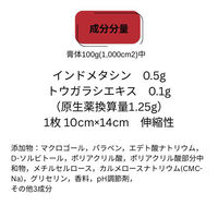 ラフェルサ サリスターパップID温感 30枚 関節痛 腰痛 肩こり痛【第2類医薬品】