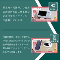 innowa ポータブルTV・ラジオ buddy オリーブ BD002 1台