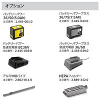 ケルヒャー コードレス背負式クリーナー BVL 3/1 Bp 1.394-303.0 1台