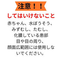 レチナートVSクリーム 10g しっしん、かぶれ、しもやけ、虫さされ、じんましん ステロイド外用剤【指定第2類医薬品】
