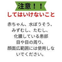 レチナートVS軟膏 10g しっしん、かぶれ、しもやけ、虫さされ、じんましん ステロイド外用剤【指定第2類医薬品】