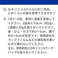 ロキソニンSゲル 25G 第一三共ヘルスケア ロキソプロフェン 塗り薬 筋肉痛 関節痛 腱鞘炎 テニス肘【第2類医薬品】