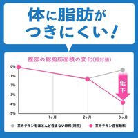 【特保・トクホ】伊藤園 おーいお茶 カテキン緑茶 500m 1セット（48本） お茶 緑茶
