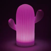 スパイス LEDソーラーイルミネーションライト リモコン付き カクタス SRLK2010 1個（直送品）