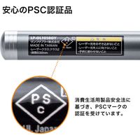 サンワサプライ 照射形状可変グリーンレーザーポインター LP-GL1018GY 1個（直送品）