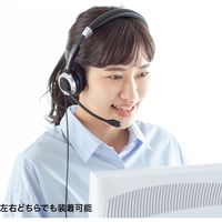 サンワサプライ ノイズキャンセリングマイク付きUSBヘッドセット MM-HSU14ANC 1個（直送品）