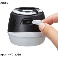 サンワサプライ 小型USB充電式LEDランタン USB-LED02 1個（直送品）