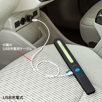 サンワサプライ LEDワークライト　USB充電式　スティックタイプ USB-LED04 1個（直送品）