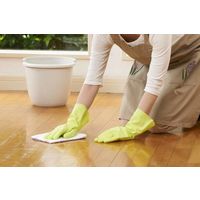 【ビニール手袋】 ショーワグローブ ナイスハンドミューうす手 NHMIU-MG グリーン 1双