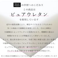 トシシミズ PZ503 トシシミズ ラグ 450×900mm クールグレー 4560254117702 1枚（直送品）
