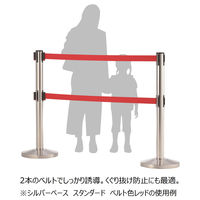 アスプルンド ベルトポールパーティション ダブルベルト スタンダード ブラックベース ベルト：レッド 1セット（8台（6梱包））