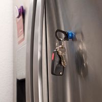 Nite Ize NI04225 360マグネットスライドカラビナーブルー 1個（直送品）