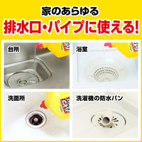 パイプユニッシュ プロ パイプクリーナー 濃縮タイプ 400g１セット(10本) パイプ掃除 お風呂 排水溝 排水口 洗浄 ジョンソン