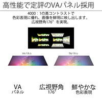 JAPANNEXT 65インチワイド4K対応液晶モニター JN-HDR650V4K 1台（直送品）