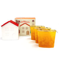 コバエ取り 対策 捕獲器 コバエがホイホイ 赤い屋根のおうち 1セット（本体1個＋詰替3個） 置き型 キッチン 厨房 アース製薬 限定