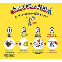 日清食品 日清カレーメシ 3種詰合せセット［カレーメシ・キーマ・ハヤシメシ］1セット（18食）カップライス カップご飯