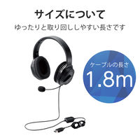 ヘッドセット 両耳 オーバーヘッド USB接続 40mmドライバ ブラック HS-HP30UBK エレコム 1個（直送品）