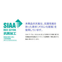 【組立設置込】プラス インテオ 会議テーブル 配線口付 ラウンド形 中間ポール脚 抗菌 4000×1200×720mm PW/P 1台（直送品）