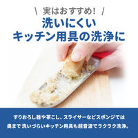 【超音波洗浄器】シチズン・システムズ SWS510 1台