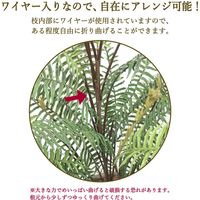 ササガワ フェイクグリーン・人工観葉植物 タマシダ Mサイズ 32-8711 1個（直送品）