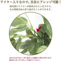 ササガワ フェイクグリーン・人工観葉植物 ポトス Lサイズ 32-8718 1個（直送品）