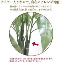 ササガワ フェイクグリーン・人工観葉植物 パキラ Lサイズ 32-8721 1個（直送品）