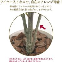 ササガワ フェイクグリーン・人工観葉植物 アルテシマ Mサイズ 32-8715 1個（直送品）