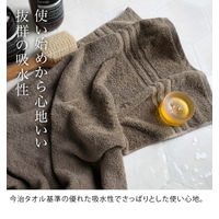 丸中 今治タオル ホテルズ ハンカチタオル オールドベージュ KIHs401X999002 1セット(6枚)