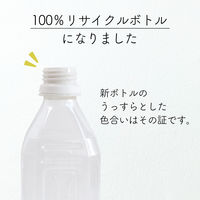 【アスクル・ロハコ限定】伊藤園 香り豊かなお茶 緑茶 500ml ラベルレス 1セット（144本））  オリジナル