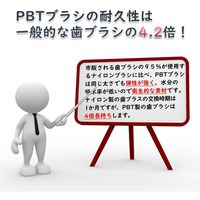 歯ぐきにやさしいシニア用歯ブラシ モルビドオーラルケア 6本セット mo-002 1セット(6本セット(カラーアソート))（直送品）